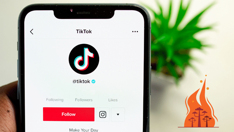 tiktok takipçi kasma